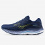 SEPATU LARI MIZUNO Wave Rider 27