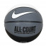 BOLA BASKET NIKE Everyday All Court 8p