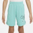 CELANA BASKET NIKE Little Kids Dri-Fit Shorts